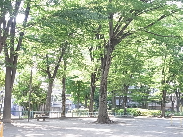 公園　竹の塚第七公園（公園）まで202m