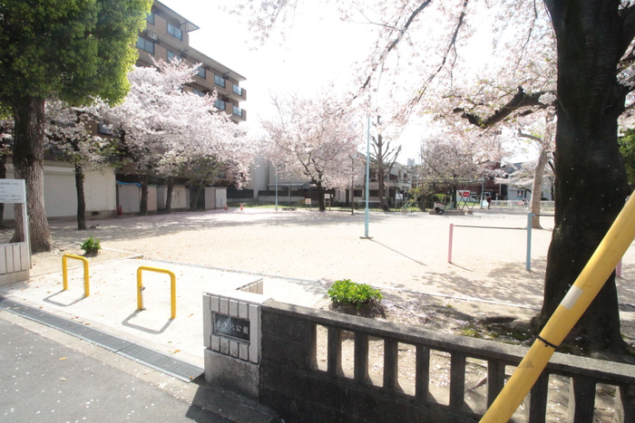 公園　菅原北公園（公園）まで336m