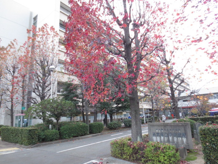 病院　西宮市立中央病院（病院）まで750m