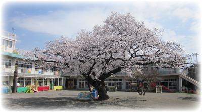 幼稚園・保育園　宮崎二葉幼稚園（幼稚園・保育園）まで1019m