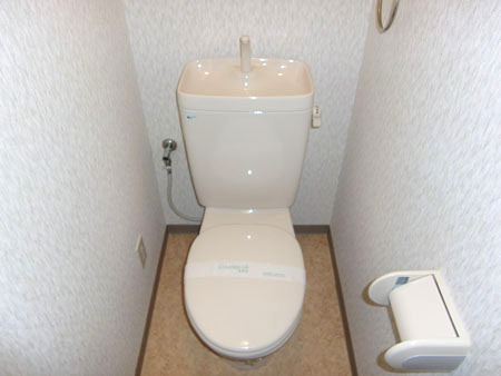 トイレ　コンパクトで使いやすいトイレです