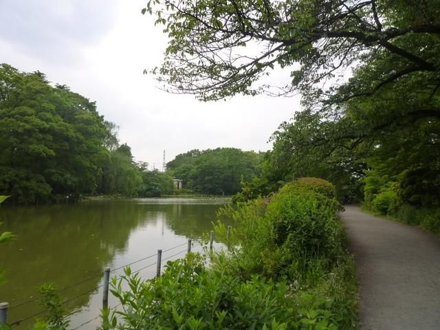 その他　善福寺緑地（その他）まで203m