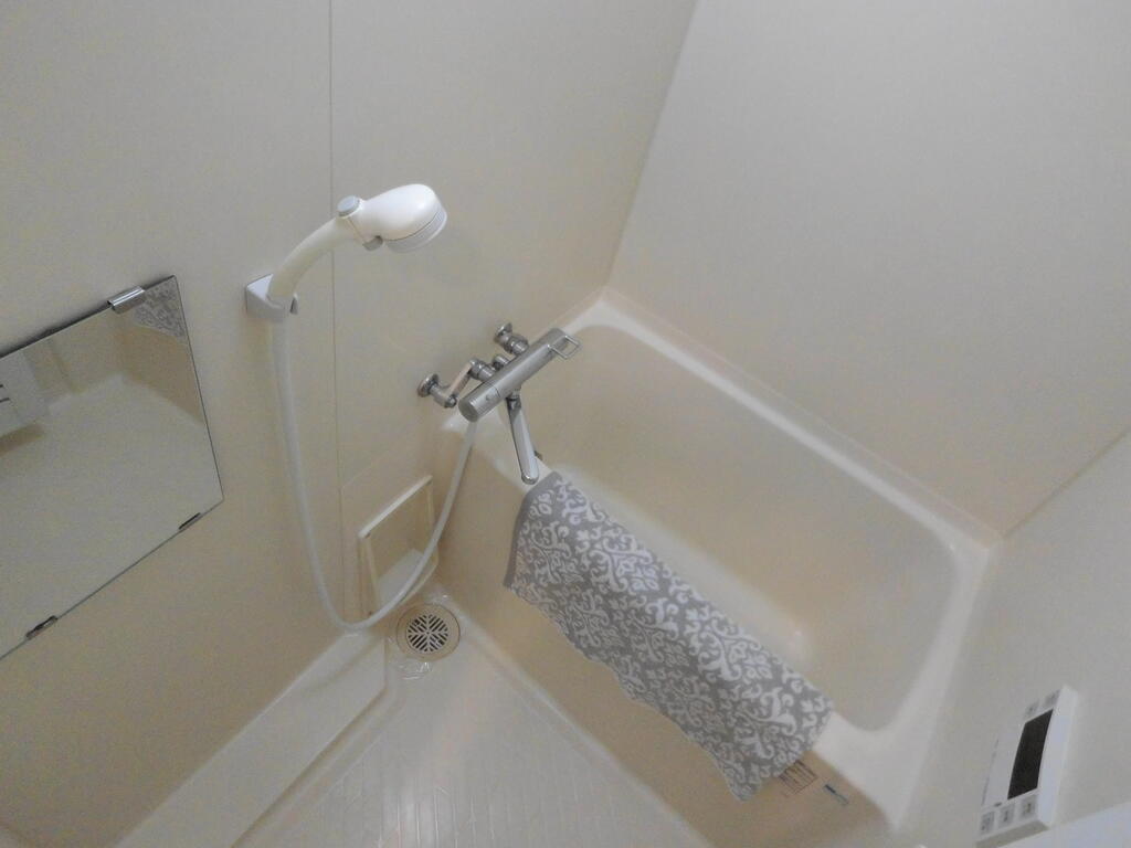 スパーツィオ宿河原の風呂写真