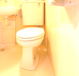 トイレ　トイレです。