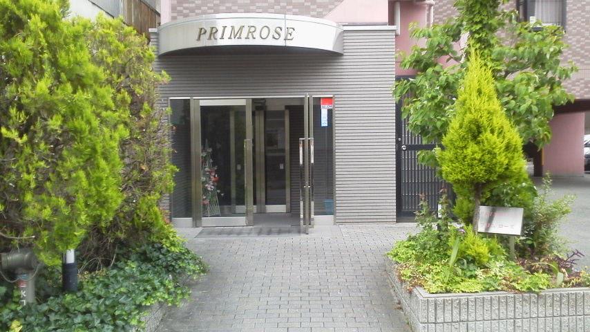 PRIMROSEのその他写真