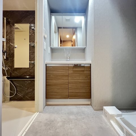 洗面設備　同仕様タイプです