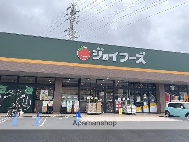 スーパー　ジョイフーズ高崎上佐野店（スーパー）まで537m