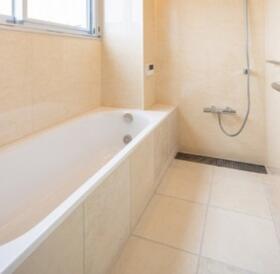 バス・シャワールーム　※別部屋参照