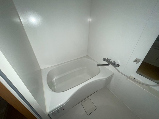 バス・シャワールーム　※別部屋の写真です