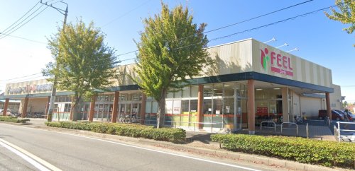 スーパー　FEEL(フィール) 岡崎柱町店（スーパー）まで316m