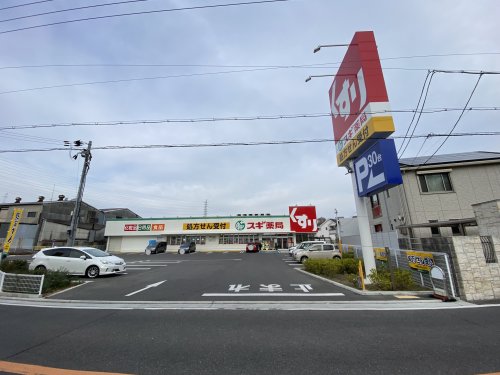 ドラックストア　スギドラッグ 取石店（ドラッグストア）まで313m