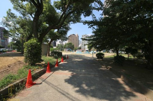 公園　南大江公園（公園）まで447m
