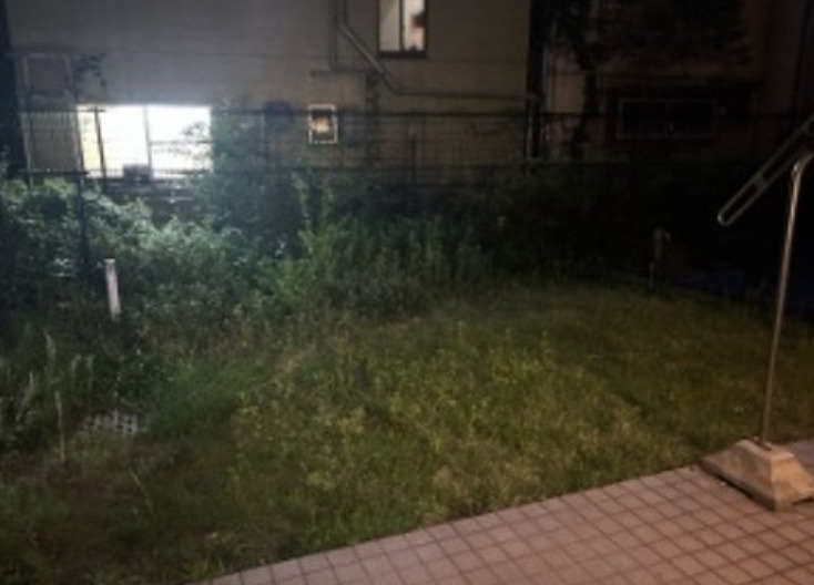 庭