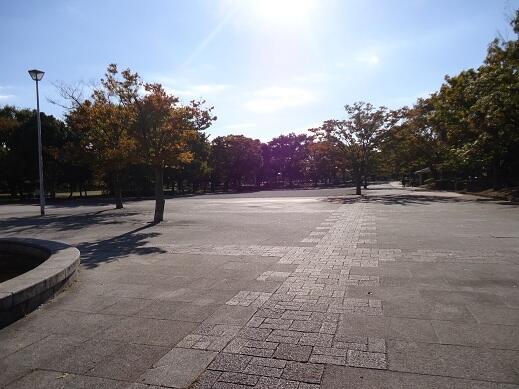 公園　新小岩公園（公園）まで657m