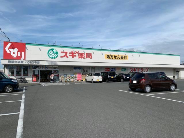ドラックストア　スギ薬局豊橋中浜店（ドラッグストア）まで972m