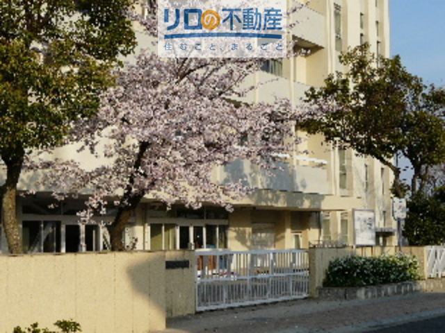 中学校　伊丹市立松崎中学校（中学校）まで1034m