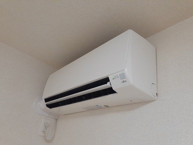 デスパシオのその他写真