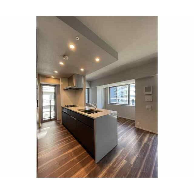 HARUMIFLAG SUN VILLAGE B棟 部屋番号:509のキッチン写真