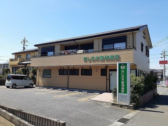 その他　なしの木動物病院（その他）まで450m