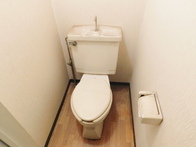メゾンド・グルワールのトイレ写真