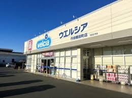 ドラックストア　ウエルシア行田持田店（ドラッグストア）まで805m