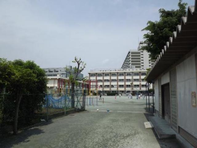 小学校　板橋区立蓮根小学校（小学校）まで557m