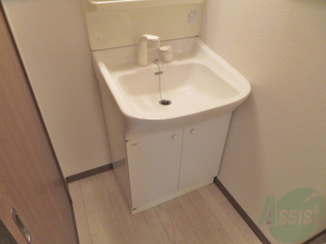 洗面設備　嬉しいシャンプードレッサーで朝の身支度もバッチリです。