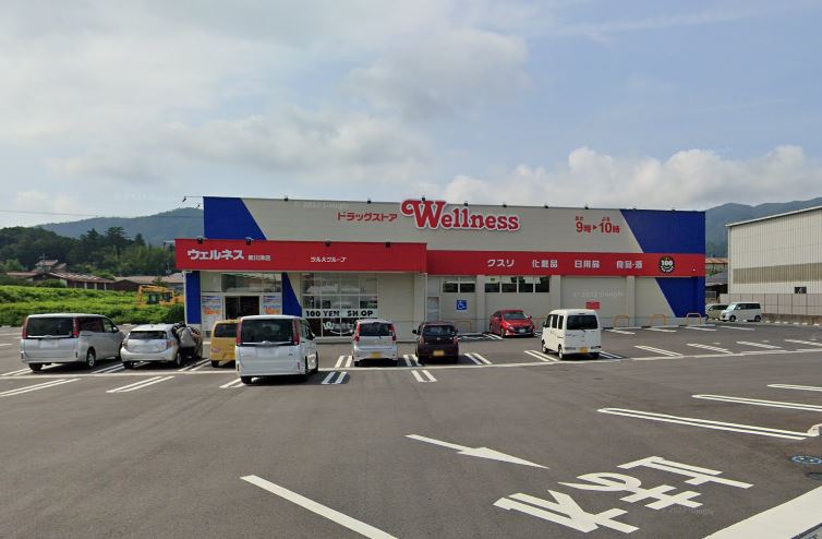 ドラックストア　ドラッグストアウェルネス 東川津店（ドラッグストア）まで737m