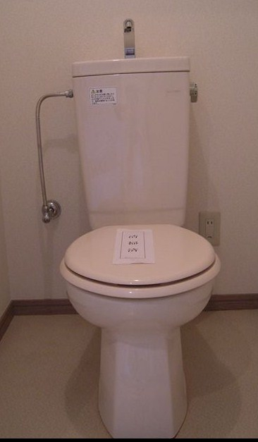 トイレ　トイレも気になるポイント