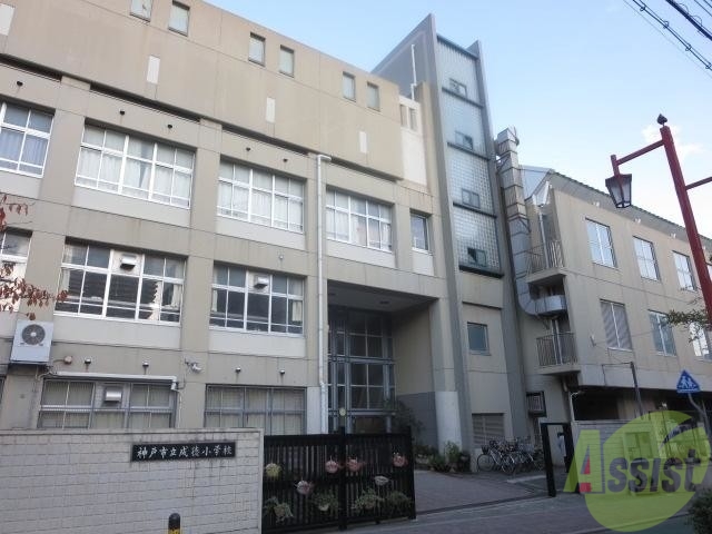 小学校　神戸市立成徳小学校（小学校）まで522m