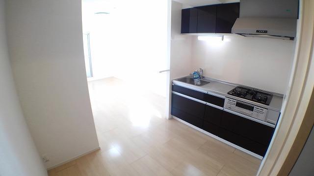 キッチン　浄水器付シャワー水洗