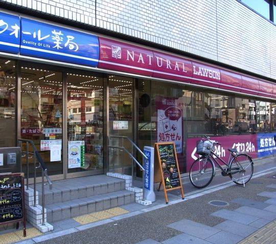 コンビニ　ナチュラルローソン東上野五丁目店（コンビニ）まで102m