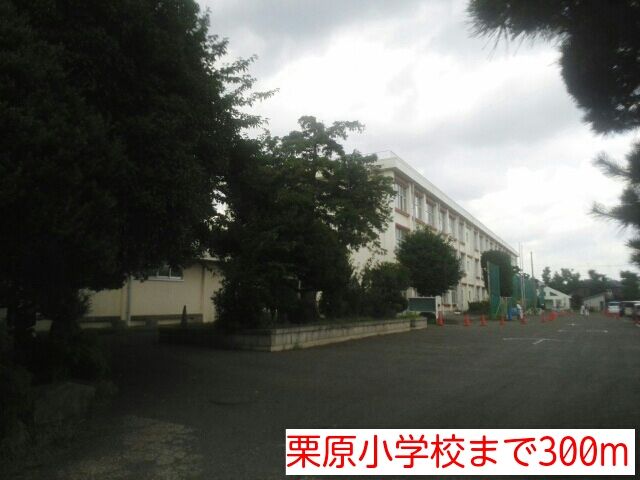 小学校　栗原小学校（小学校）まで300m