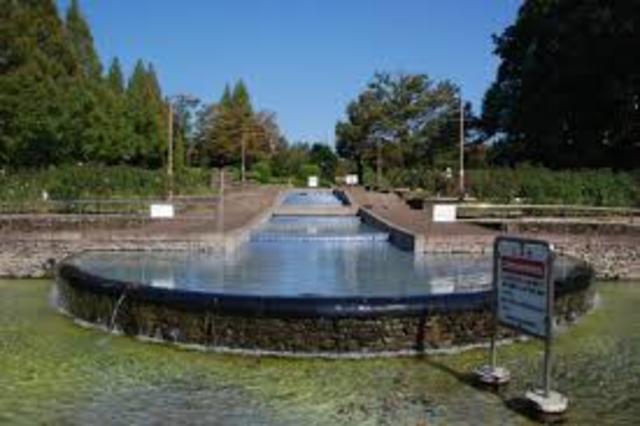 その他　相模原北公園（その他）まで700m