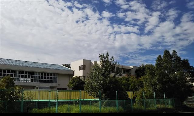 小学校　鳥取大学附属小学校（小学校）まで814m
