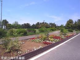 公園　気象台記念公園（公園）まで1415m