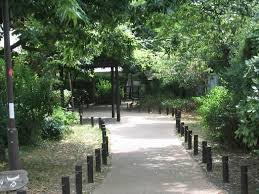 公園　烏山公園（公園）まで517m