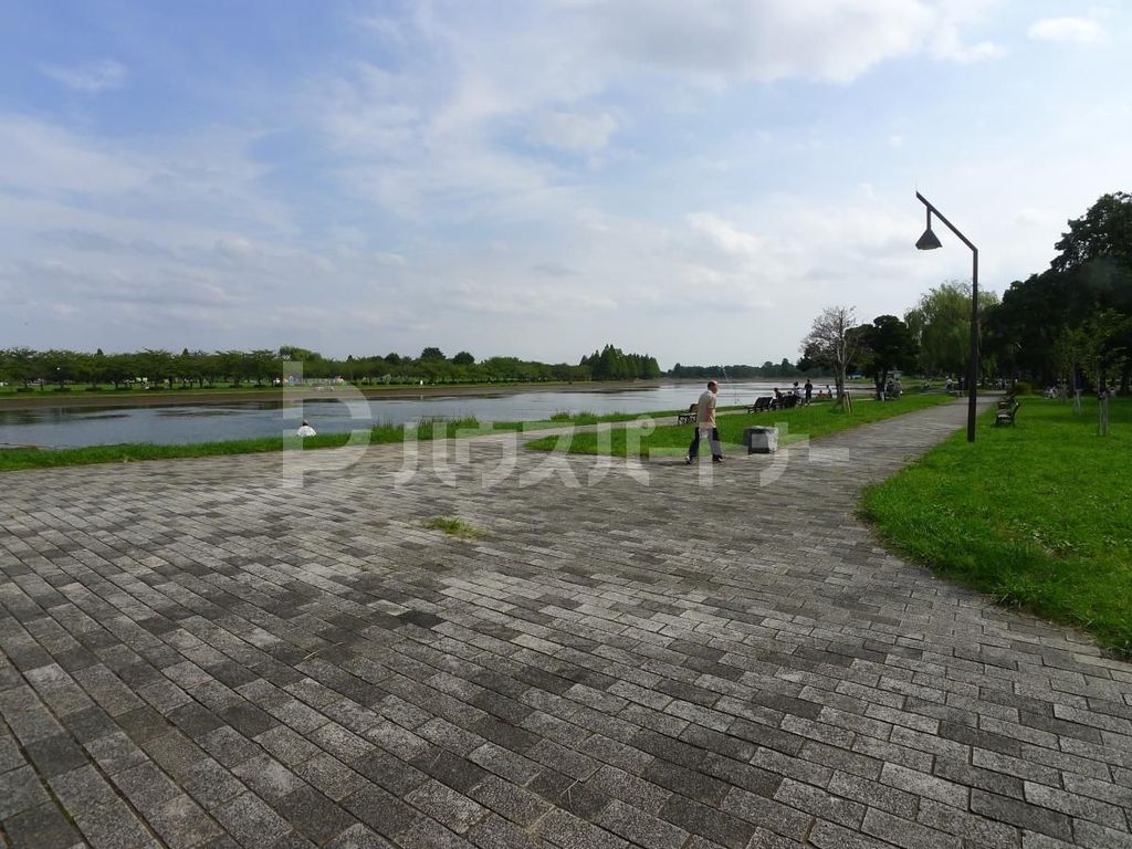 公園　水元公園（公園）まで1160m