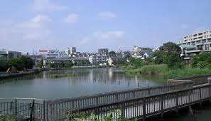 公園　小池公園（公園）まで550m