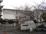 小学校　熊谷市立熊谷南小学校（小学校）まで143m
