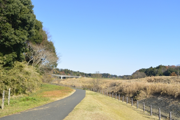 その他　桜川緑地（その他）まで1241m