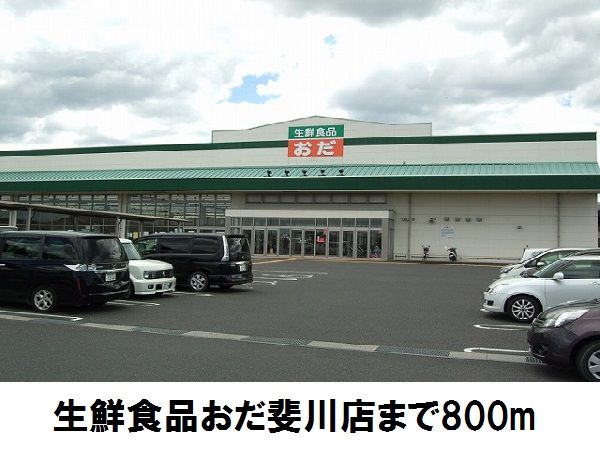 スーパー　生鮮食品おだ斐川店（スーパー）まで800m