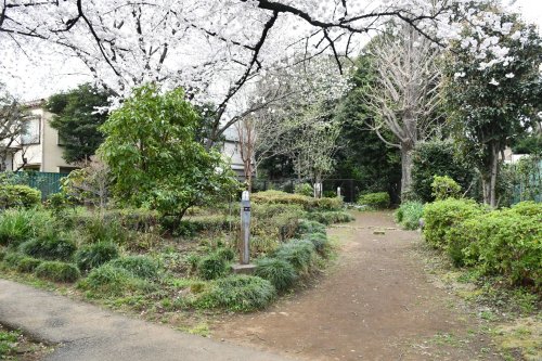 公園　十条野鳥の森緑地（公園）まで624m