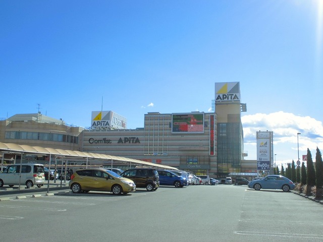 ショッピングセンター　アピタ（ショッピングセンター）まで2000m