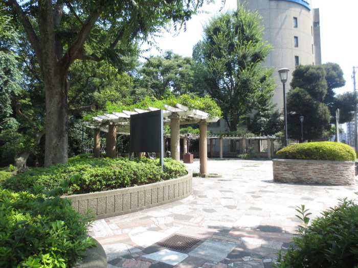 公園　大塚公園（公園）まで50m