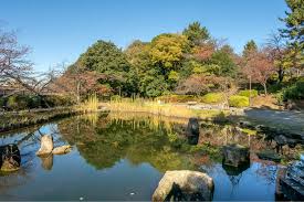 公園　哲学堂公園（公園）まで634m
