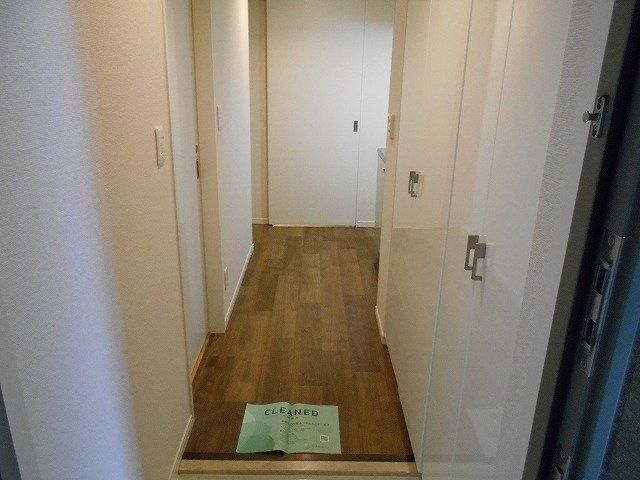 玄関　（別タイプ参考写真）ライジングプレイス池袋　豊島区池袋２