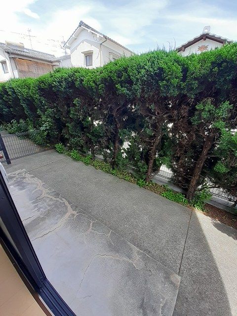 庭