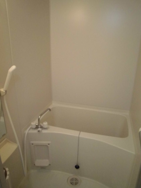 バス・シャワールーム　浴室になります