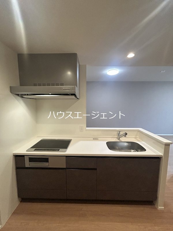 キッチン　IHヒーターのシステムキッチン